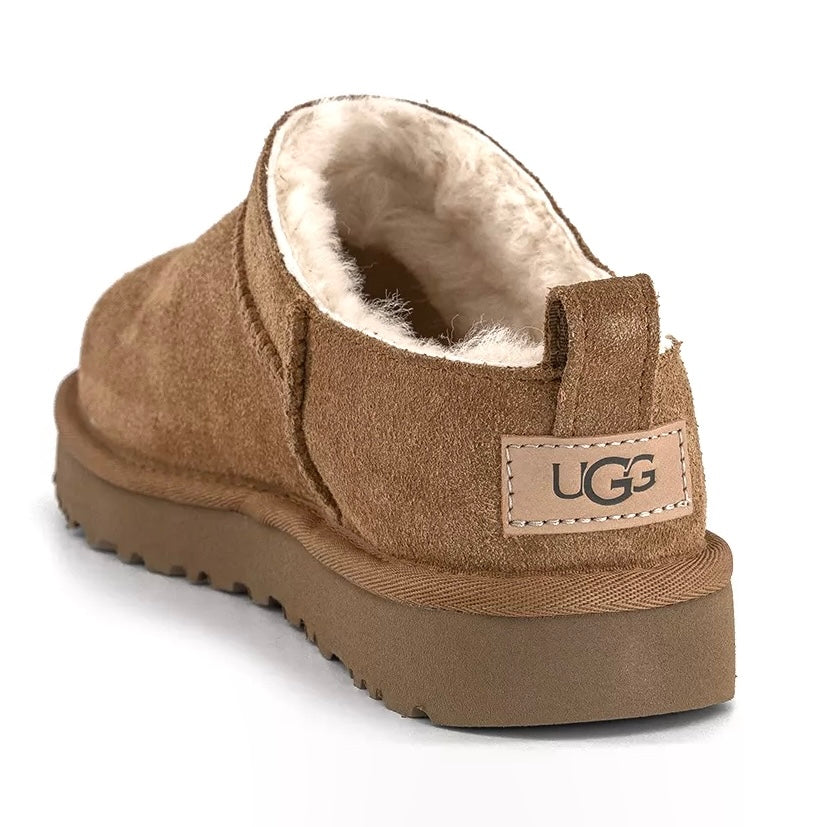 UGG Classic Micro coloris Chestnut – bottine ultra-courte en daim, vue 2
